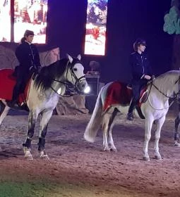 Nemzeti Lovas Színház