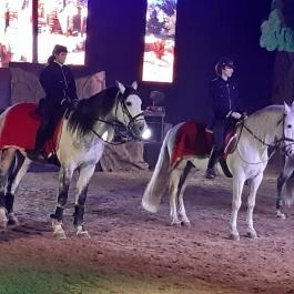 Nemzeti Lovas Színház, Budapest - Egyéb