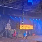 Nemzeti Lovas Színház Budapest - Egyéb