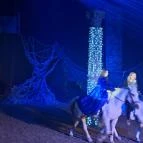 Nemzeti Lovas Színház Budapest - Egyéb