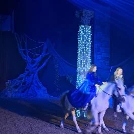 Nemzeti Lovas Színház Budapest - Egyéb