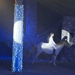 Nemzeti Lovas Színház Budapest - Egyéb