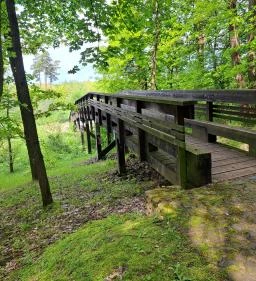 Nyírjesi Fűvészkert & Vadaspark