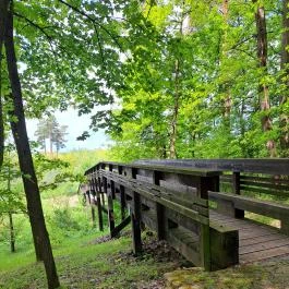 Nyírjesi Fűvészkert & Vadaspark, Balassagyarmat - Egyéb