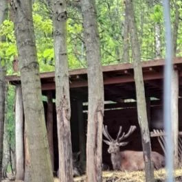 Nyírjesi Fűvészkert & Vadaspark, Balassagyarmat - Egyéb