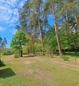 6. legjobb látnivaló: Nyírjesi Fűvészkert & Vadaspark