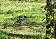 Óhegy park Budapest