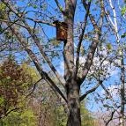 Óhegy park Budapest - Egyéb