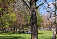 Óhegy park Budapest