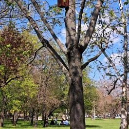 Óhegy park Budapest - Egyéb