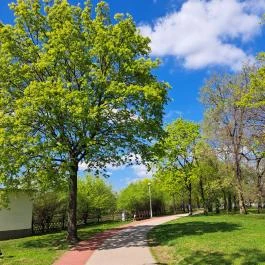 Óhegy park Budapest - Egyéb