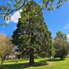 Óhegy park Budapest - Egyéb