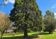 Óhegy park Budapest