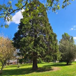 Óhegy park, Budapest - Egyéb