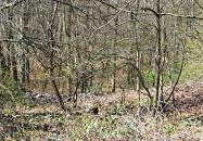 Ördög kövek Várvölgy