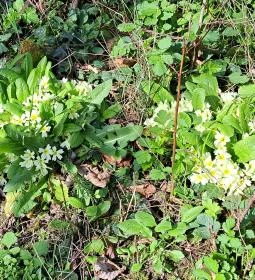 391. legjobb látnivaló: Ördög kövek