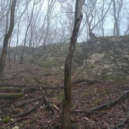 Pákozdvár Pákozd - Egyéb