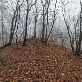 Pákozdvár Pákozd - Egyéb