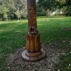 Petőfi fája Szatmárcseke - Külső kép