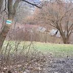 Pilisszentkereszti ciszterci kolostorrom Pilisszentkereszt - Egyéb