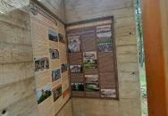 Prónay-kilátó Alsópetény