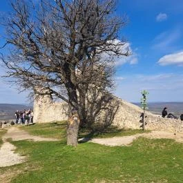 Rezi vár Rezi - Egyéb