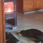 Rocky Söröző Kisgyőr - Egyéb