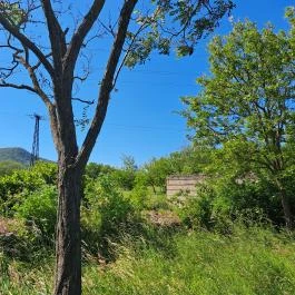 Római tábor, Gardellaca Tokod - Egyéb