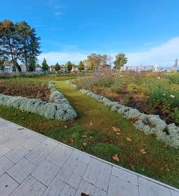 12. legjobb látnivaló: Rózsakert Siófok