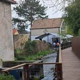 Rózy Tapolca - Egyéb