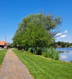 Sárberki Horgásztó