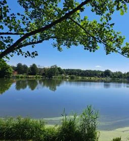 4. legjobb látnivaló: Sárberki Horgásztó