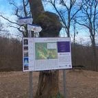 Sarlós Boldogasszony kápolna Csobánka - Egyéb