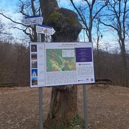 Sarlós Boldogasszony kápolna, Csobánka - Egyéb