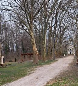 Sarlós Boldogasszony-kegykápolna