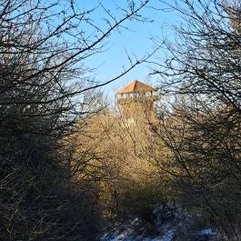 Solymári vár Solymár - Egyéb