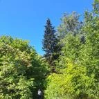 Soroksári Botanikus Kert Budapest - Egyéb