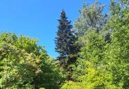 Soroksári Botanikus Kert Budapest