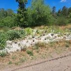 Soroksári Botanikus Kert Budapest - Egyéb