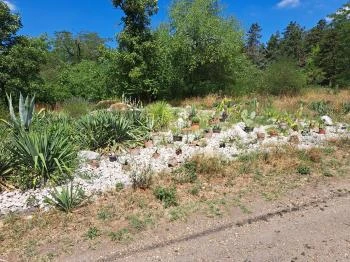 Soroksári Botanikus Kert Budapest