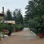 Sóstó Zoo - Nyíregyházi Állatpark Nyíregyháza - Egyéb