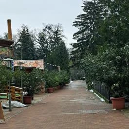 Sóstó Zoo - Nyíregyházi Állatpark, Nyíregyháza - Egyéb