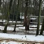 Sóstó Zoo - Nyíregyházi Állatpark Nyíregyháza - Egyéb