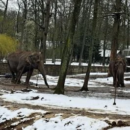 Sóstó Zoo - Nyíregyházi Állatpark, Nyíregyháza - Egyéb