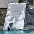 Sóstó Zoo - Nyíregyházi Állatpark Nyíregyháza - Egyéb