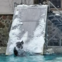 Sóstó Zoo - Nyíregyházi Állatpark, Nyíregyháza - Egyéb