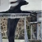 Sóstó Zoo - Nyíregyházi Állatpark Nyíregyháza - Egyéb