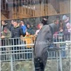 Sóstó Zoo - Nyíregyházi Állatpark Nyíregyháza - Egyéb