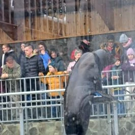 Sóstó Zoo - Nyíregyházi Állatpark, Nyíregyháza - Egyéb