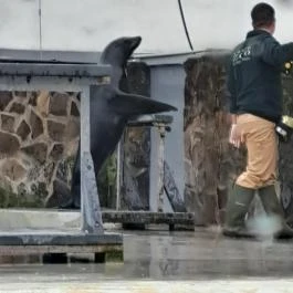 Sóstó Zoo - Nyíregyházi Állatpark, Nyíregyháza - Egyéb